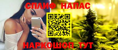 гашик Нальчик