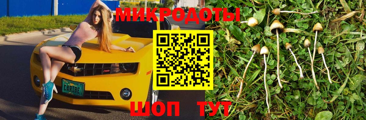 Вичуга  Псилоцибиновые грибы Magic Shrooms  Вход с VPN 